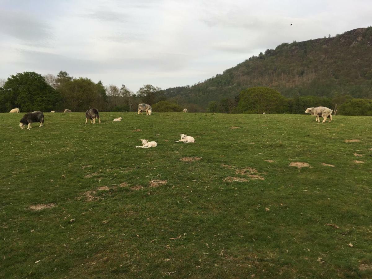 Burnside B&B Keswick  Eksteriør bilde